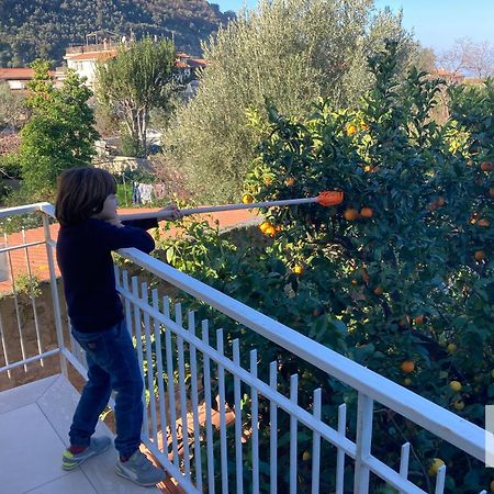 La Terrazza Family Holidays - Sorrento Coast Sant'Agnello Εξωτερικό φωτογραφία