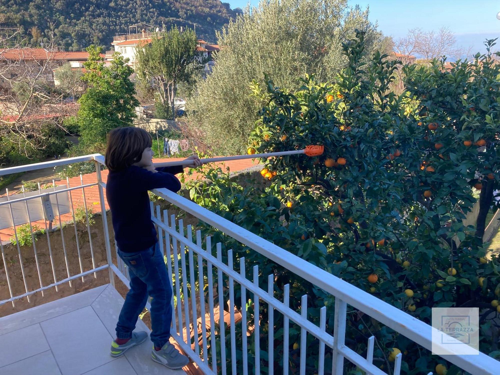 La Terrazza Family Holidays - Sorrento Coast Sant'Agnello Εξωτερικό φωτογραφία